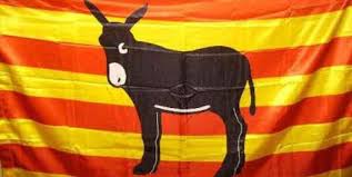 BANDERA GRAN BURRO CATALA