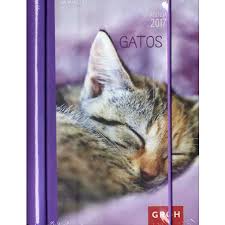 2017 AGENDA GATOS