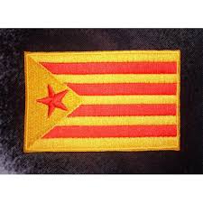 ESCUT BRODAT ESTELADA GROGA 819